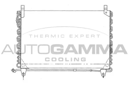 Конденсатор AUTOGAMMA 101702