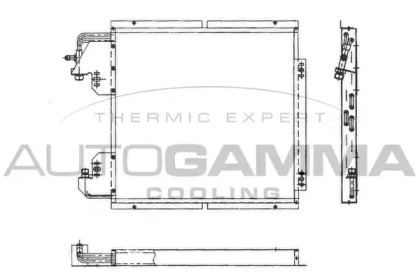 Конденсатор AUTOGAMMA 101800