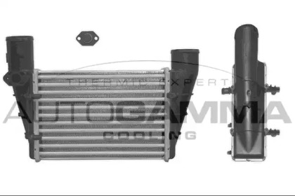 Теплообменник AUTOGAMMA 101858