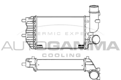 Теплообменник AUTOGAMMA 101888