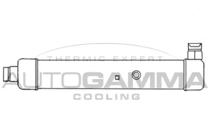 Теплообменник AUTOGAMMA 101905