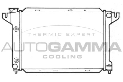 Теплообменник AUTOGAMMA 101986