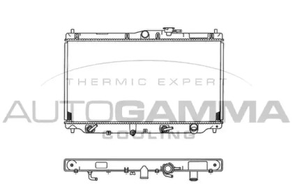 Теплообменник AUTOGAMMA 101993