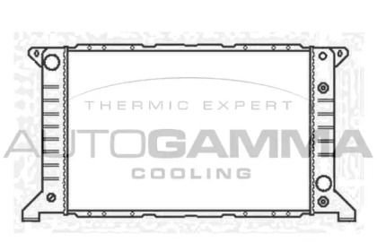 Теплообменник AUTOGAMMA 102078