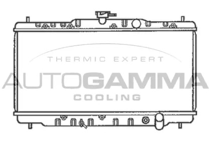 Теплообменник AUTOGAMMA 102104