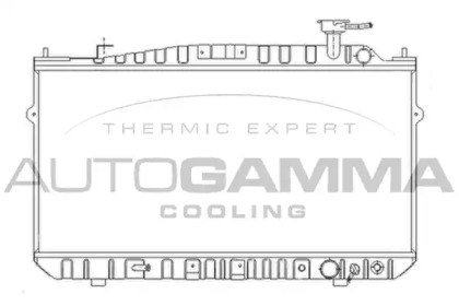 Теплообменник AUTOGAMMA 102123