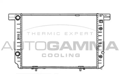 Теплообменник AUTOGAMMA 102157