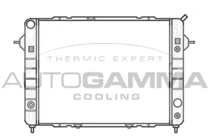Теплообменник AUTOGAMMA 102243