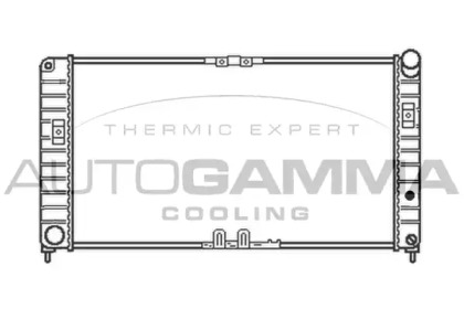 Теплообменник AUTOGAMMA 102263