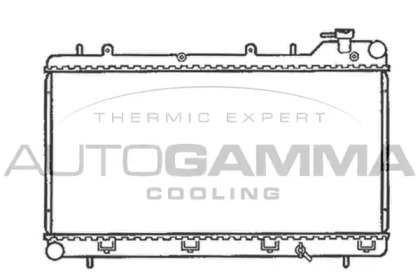 Теплообменник AUTOGAMMA 102308