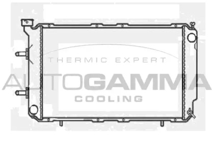 Теплообменник AUTOGAMMA 102312
