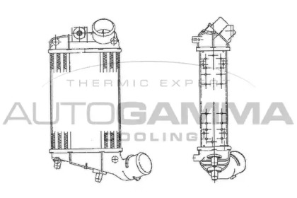 Теплообменник AUTOGAMMA 103008