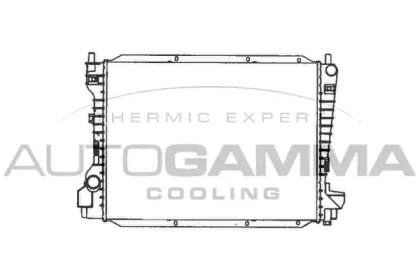 Теплообменник AUTOGAMMA 103077