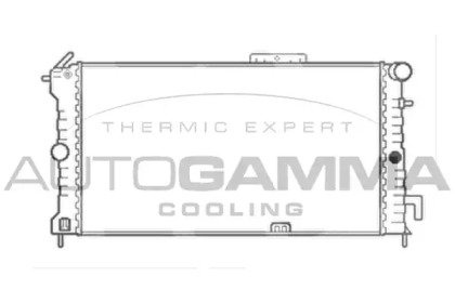 Теплообменник AUTOGAMMA 103184