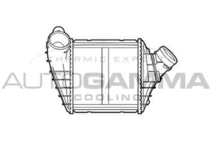 Теплообменник AUTOGAMMA 103213