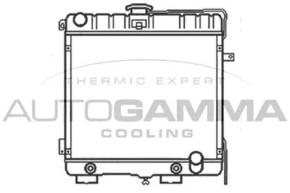 Теплообменник AUTOGAMMA 103341