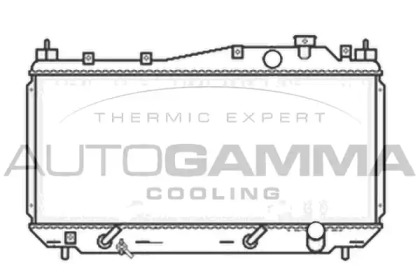 Теплообменник AUTOGAMMA 103435