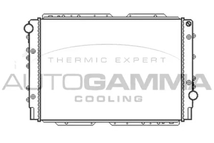 Теплообменник AUTOGAMMA 103437