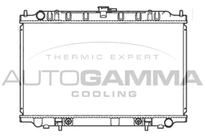 Теплообменник AUTOGAMMA 103503