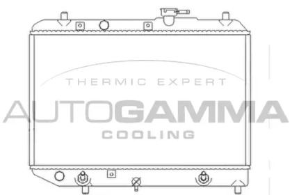 Теплообменник AUTOGAMMA 103517