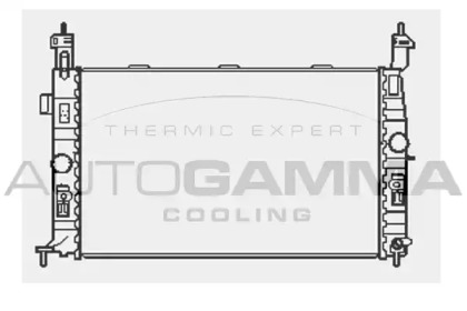 Теплообменник AUTOGAMMA 103518