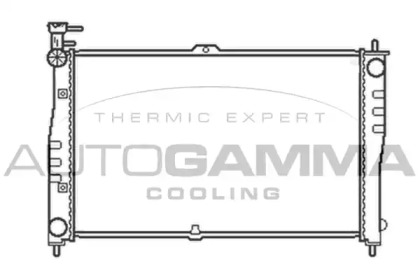 Теплообменник AUTOGAMMA 103609