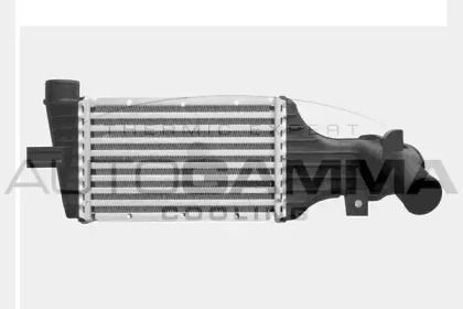 Теплообменник AUTOGAMMA 103729