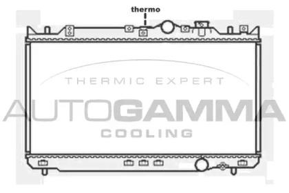 Теплообменник AUTOGAMMA 103802