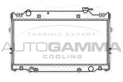 Теплообменник AUTOGAMMA 103843