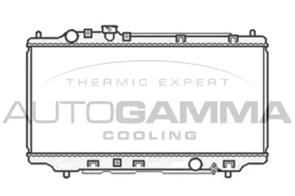 Теплообменник AUTOGAMMA 103854