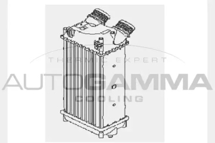 Теплообменник AUTOGAMMA 103862