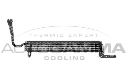 Теплообменник AUTOGAMMA 103891