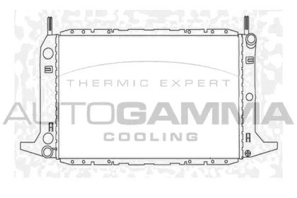 Теплообменник AUTOGAMMA 103920