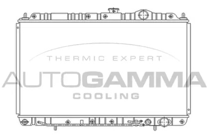 Теплообменник AUTOGAMMA 103957