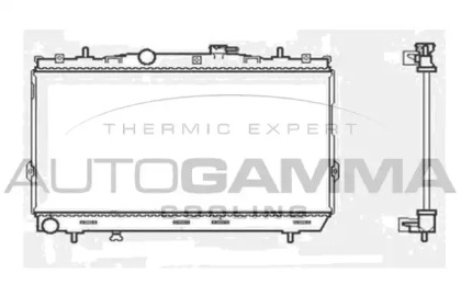 Теплообменник AUTOGAMMA 104005