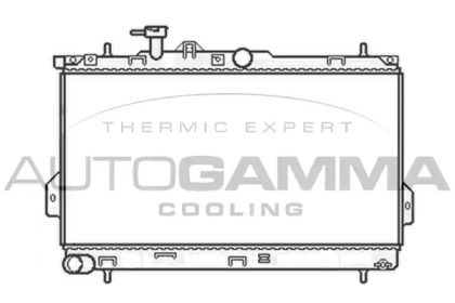 Теплообменник AUTOGAMMA 104066