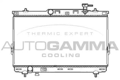 Теплообменник AUTOGAMMA 104069