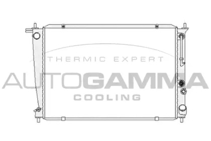 Теплообменник AUTOGAMMA 104072