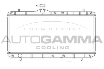 Теплообменник AUTOGAMMA 104106