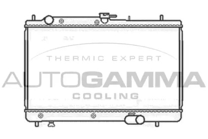 Теплообменник AUTOGAMMA 104107