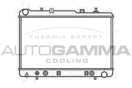 Теплообменник AUTOGAMMA 104131