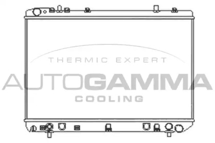 Теплообменник AUTOGAMMA 104159