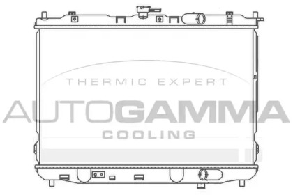 Теплообменник AUTOGAMMA 104173