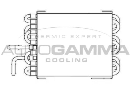 Теплообменник AUTOGAMMA 104177