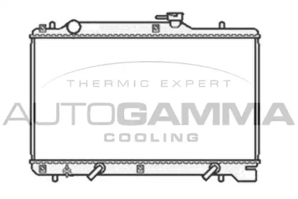 Теплообменник AUTOGAMMA 104189