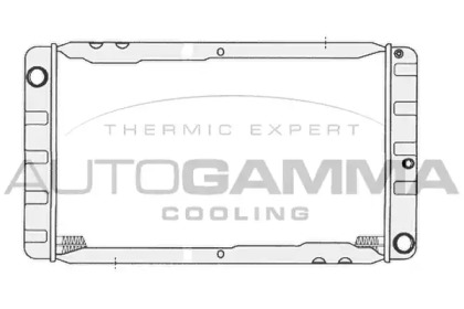 Теплообменник AUTOGAMMA 104199