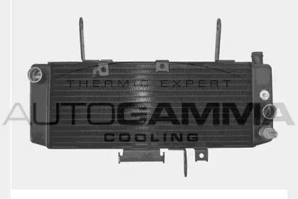 Теплообменник AUTOGAMMA 104343