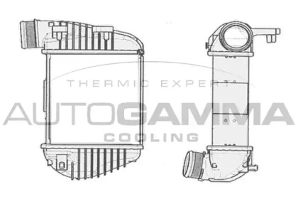 Теплообменник AUTOGAMMA 104405