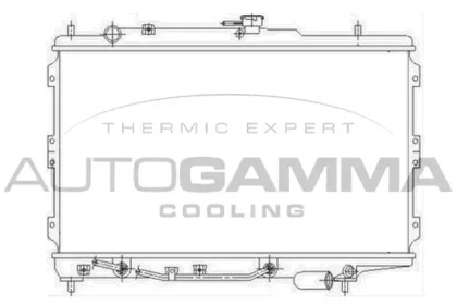 Теплообменник AUTOGAMMA 104659