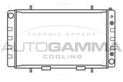 Теплообменник AUTOGAMMA 104661